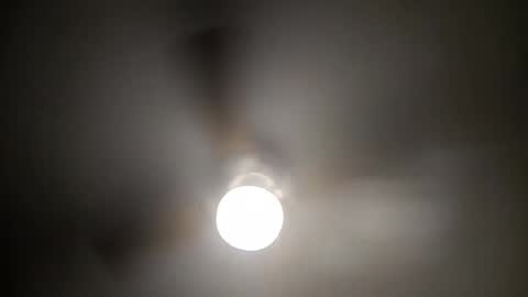 red24devils online show from 8, 12, 2024