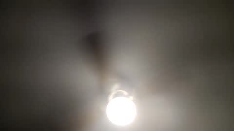 red24devils online show from 15, 12, 2024