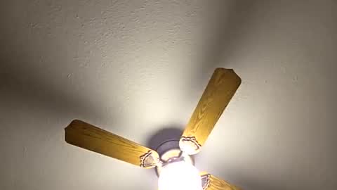 Snapshot of red24devils chatting on 5, 3, 2026 red24devils online show from 5, 3, 2026