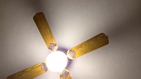 Snapshot of red24devils chatting on 14, 3, 2026 red24devils online show from 14, 3, 2026