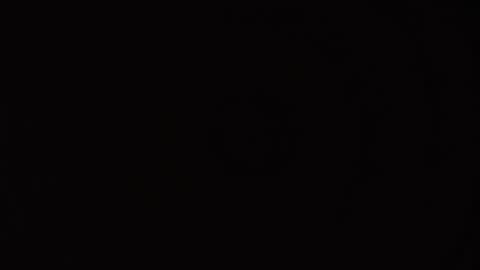 Kitty online show from 8, 9, 2025