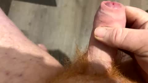 redbeard275 online show from 5, 1, 2026