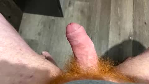 redbeard275 online show from 6, 1, 2026