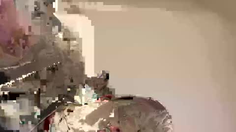 Ali j online show from 30, 4, 2026