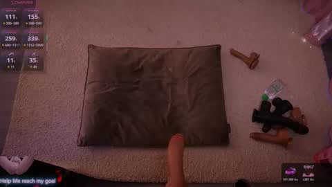 Redhead Shark online show from 9, 1, 2026