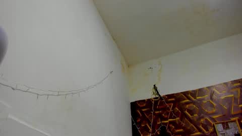 reed_kitty online show from 15, 12, 2025