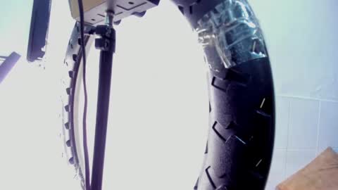 reed_kitty online show from 6, 1, 2026