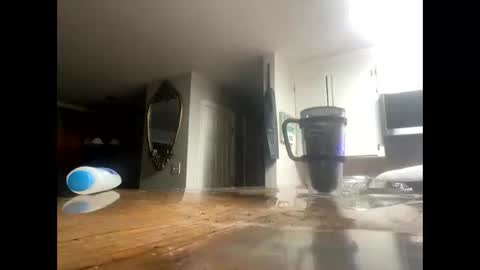 Snapshot of reeferleefer chatting on 15, 10, 2025 Lee online show from 15, 10, 2025