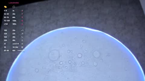 Snapshot of reiinachloe chatting on 2, 4, 2026 reiinachloe online show from 2, 4, 2026