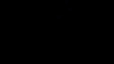 reinarica online show from 8, 4, 2026