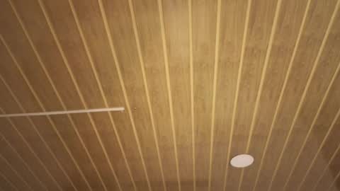 Snapshot of renaxi_smith chatting on 17, 1, 2026 renaxi_smith online show from 17, 1, 2026