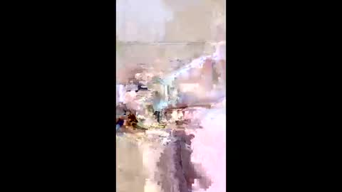 rgbarbary online show from 21, 12, 2025