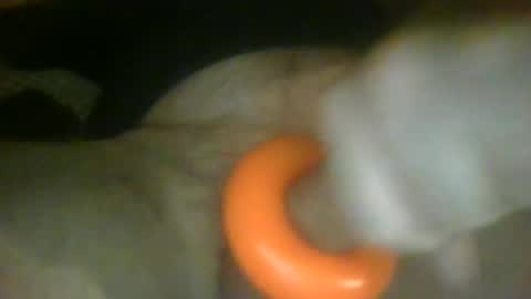 richardspit online show from 26, 1, 2025