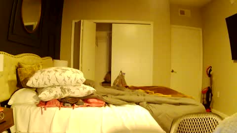 richierich813 online show from 3, 10, 2025