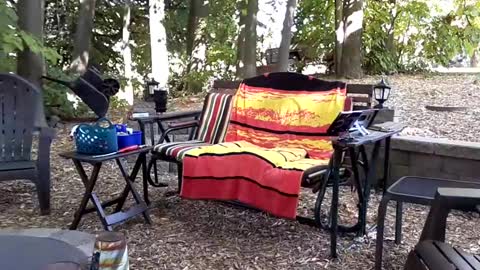 PINK HOLE TWINK online show from 14, 9, 2025