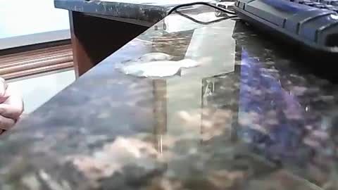 Snapshot of rigellan2021 chatting on 1, 10, 2025 rigellan2021 online show from 1, 10, 2025