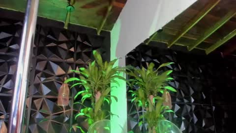 rihanna online show from 5, 12, 2024