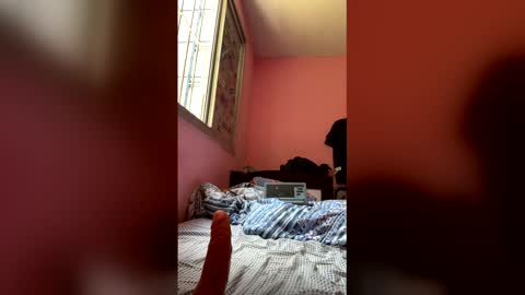 rikpe online show from 7, 1, 2026