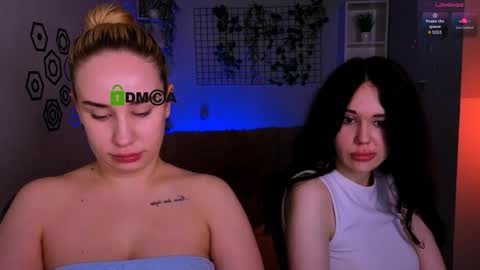 Meow online show from 13, 5, 2026