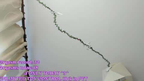 My name is Riley Like my broadcast pls 3 online show from 21, 5, 2026