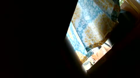 riskyjizznessss online show from 31, 12, 2024