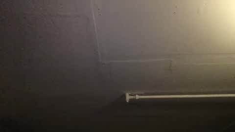 Snapshot of roastingcorn chatting on 6, 12, 2024 RoastingCorn online show from 6, 12, 2024