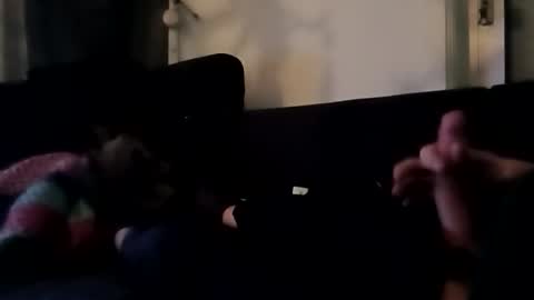 robbdmser3454 online show from 6, 3, 2026