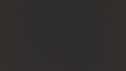 robbyskips online show from 14, 5, 2026