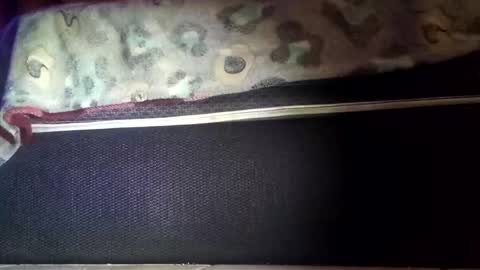 robert227818 online show from 8, 11, 2025