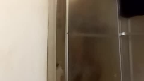 robertsaiz4200 online show from 24, 11, 2025