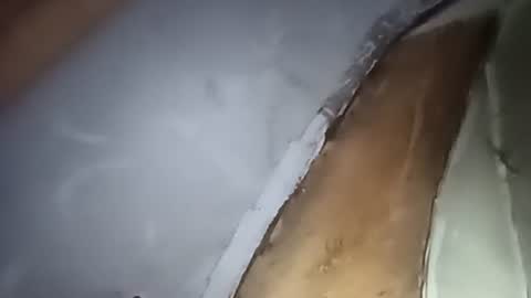 R online show from 1, 10, 2025