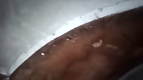 R online show from 5, 10, 2025