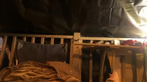 Snapshot of rockemx chatting on 25, 9, 2025 rockemx online show from 25, 9, 2025