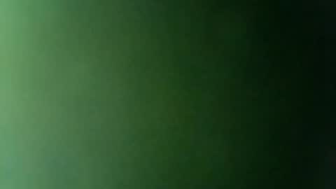 Snapshot of rojo22712 chatting on 17, 2, 2025 Mr. Red online show from 17, 2, 2025