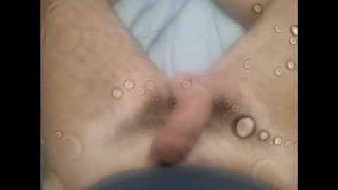 rollino83 online show from 5, 10, 2025