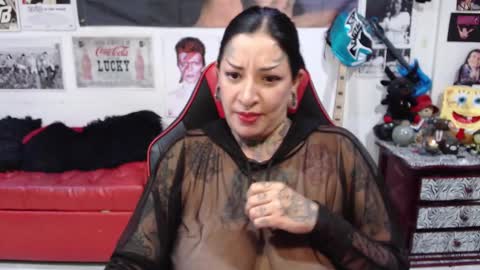 Rolly online show from 9, 12, 2024