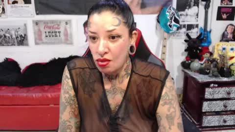 Rolly online show from 15, 12, 2024