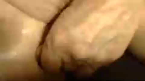 Snapshot of romantiko9 chatting on 13, 6, 2026 romantiko9 online show from 13, 6, 2026