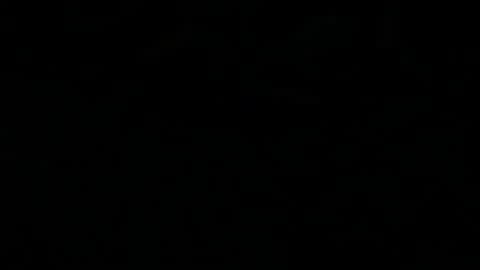 Ocean online show from 22, 11, 2025