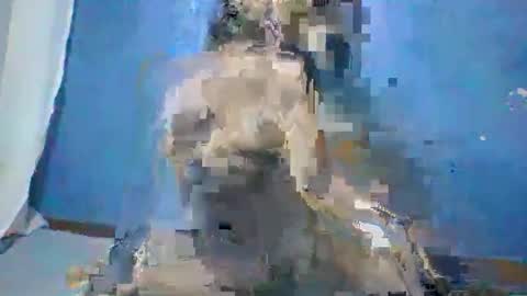 Roseyaa online show from 26, 10, 2025