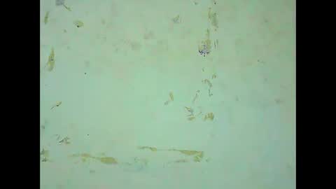 rosie6601 online show from 21, 3, 2026