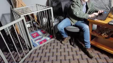 RoughnBootz online show from 6, 2, 2025