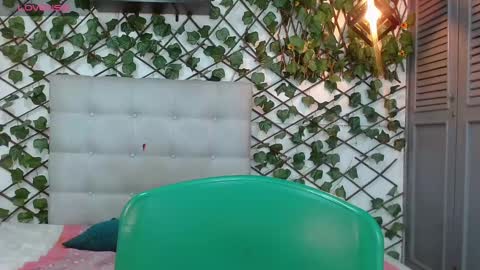 Snapshot of rous_55 chatting on 27, 12, 2024 Rous online show from 27, 12, 2024