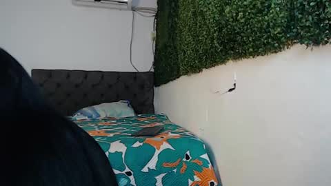 ROUSE online show from 26, 12, 2024