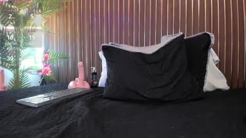 Snapshot of roxie_ns chatting on 11, 4, 2026 Roxie online show from 11, 4, 2026