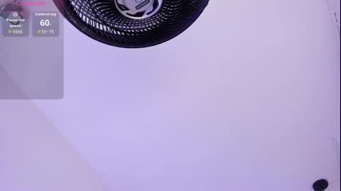 Roxie  online show from 16, 3, 2026