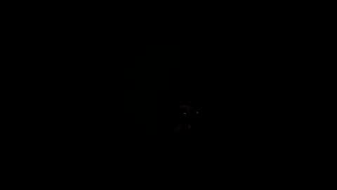 royce888 online show from 16, 11, 2025