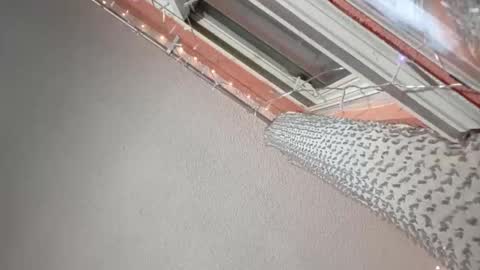 Snapshot of rraineonme chatting on 12, 1, 2026 rraineonme online show from 12, 1, 2026