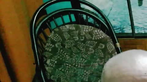 runnnaz online show from 14, 10, 2025