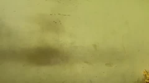 Rupali online show from 20, 12, 2025